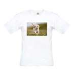Bild von   t shirt groesse   fotjpg | fotogeschenkideende 🎀 Geschenke mit eigenem Foto Motiv o Text