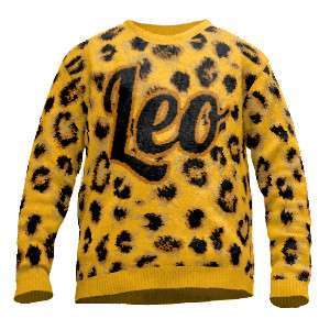 Bild von   pullover leo leopardjpg | fotogeschenkideende 🎀 Geschenke mit eigenem Foto Motiv o Text