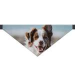 Bild von   hundehalstuch mit foto und namjpg | fotogeschenkideende 🎀 Geschenke mit eigenem Foto Motiv o Text