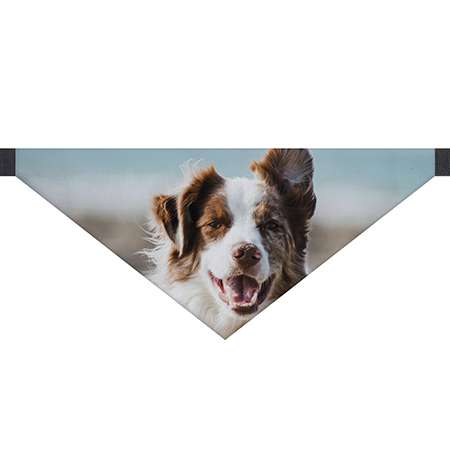 🖼 186655-1-hundehalstuch-mit-foto-und-nam.jpg | fotogeschenkideen.de 🎀 Geschenke mit eigenem Foto, Motiv o. Text    Bild von   hundehalstuch mit foto und namjpg | fotogeschenkideende 🎀 Geschenke mit eigenem Foto Motiv o Text