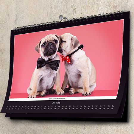 Bild von   kalender mops fotokalenderjpg | fotogeschenkideende 🎀 Geschenke mit eigenem Foto Motiv o Text