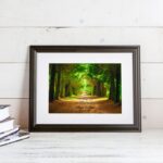 Bild von   gemeinsamer weg fruehlingsbijpg | fotogeschenkideende 🎀 Geschenke mit eigenem Foto Motiv o Text