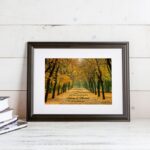 Bild von   herz im baum herbstbild ihjpg | fotogeschenkideende 🎀 Geschenke mit eigenem Foto Motiv o Text