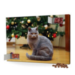 🖼 108135-1-katzen-adventskalender-mit-fot.jpg | fotogeschenkideen.de 🎀 Geschenke mit eigenem Foto, Motiv o. Text Bild von katzen adventskalender mit fotjpg | fotogeschenkideende 🎀 Geschenke mit eigenem Foto Motiv o Text