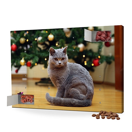Bild von   katzen adventskalender mit fotjpg | fotogeschenkideende 🎀 Geschenke mit eigenem Foto Motiv o Text