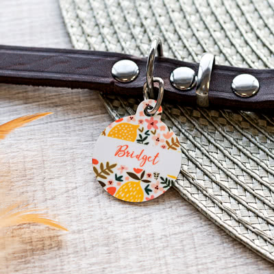 Bild von   anhaenger fuer tierhalsband knjpg | fotogeschenkideende 🎀 Geschenke mit eigenem Foto Motiv o Text