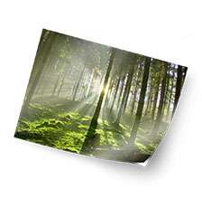 Bild von   foto auf klebefolie matt ajpg | fotogeschenkideende 🎀 Geschenke mit eigenem Foto Motiv o Text