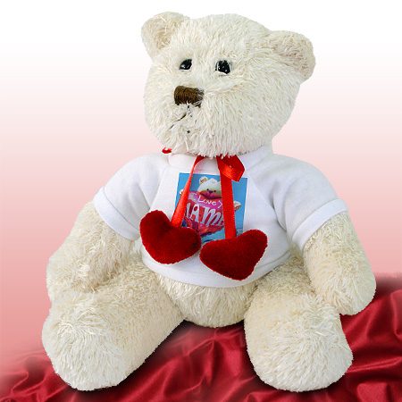 Bild von   kuscheltier teddybaer mit fojpg | fotogeschenkideende 🎀 Geschenke mit eigenem Foto Motiv o Text